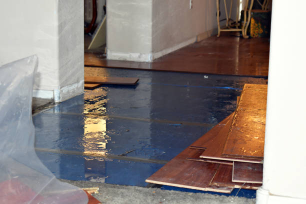 Professional Burst Pipe Cleanup technician working in Sanford, NC